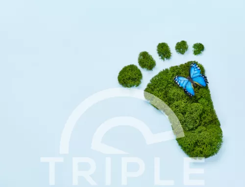 Neues Jahr, neuer Job: Dein Werkstudentenstart in der Energiebranche