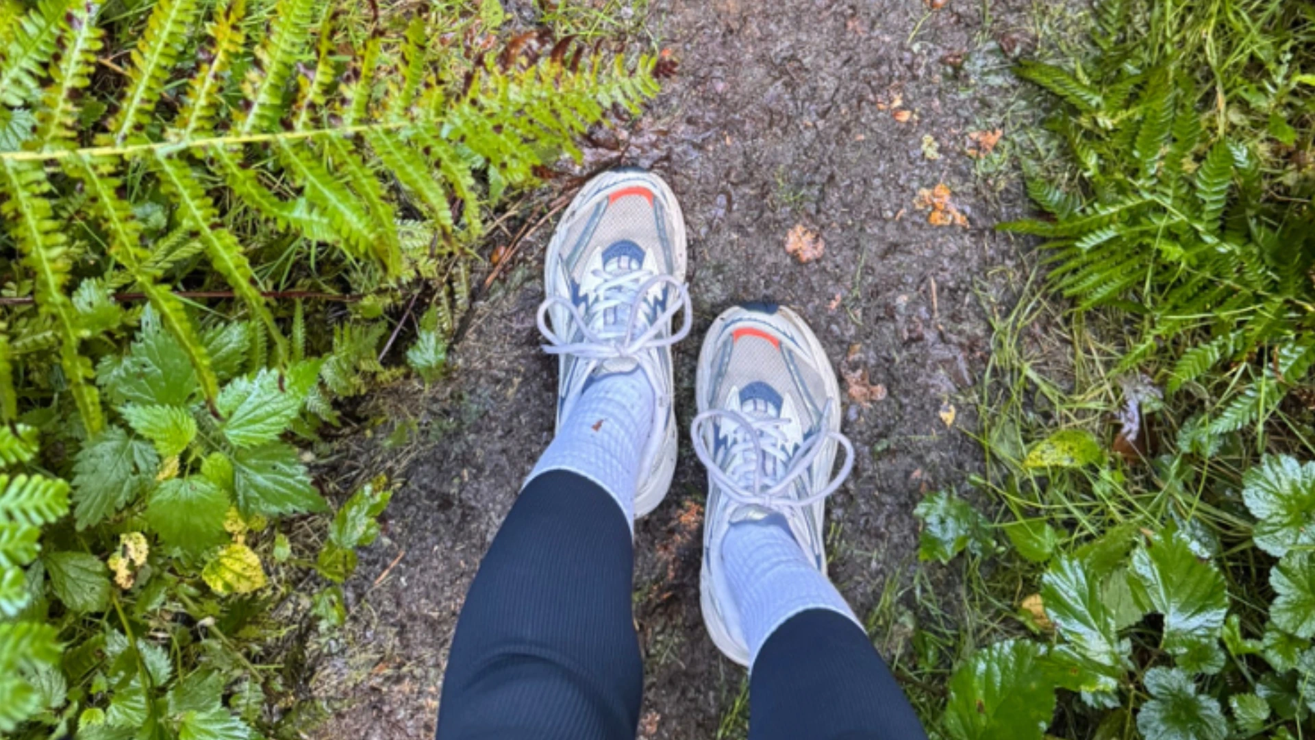 Firmenwandertag Jeder Schritt zählt